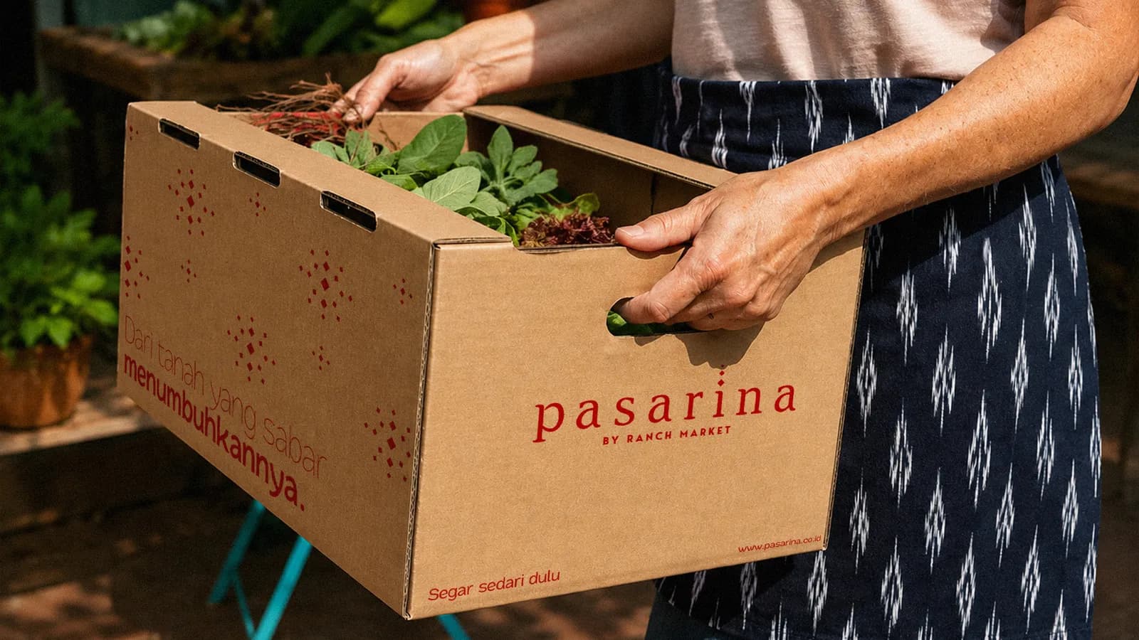 Pasarina-13